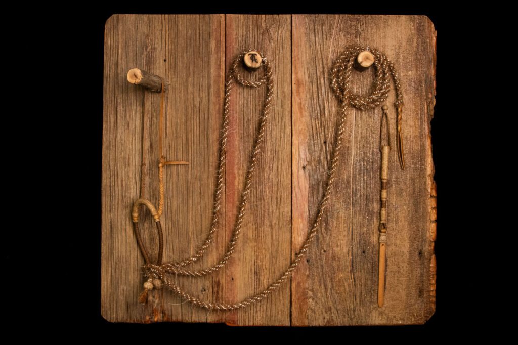 Mini Hackamore with Mecate and Quirt