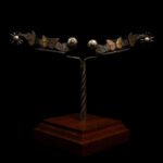 Monarch Butterfly Lady’s Spurs – #20