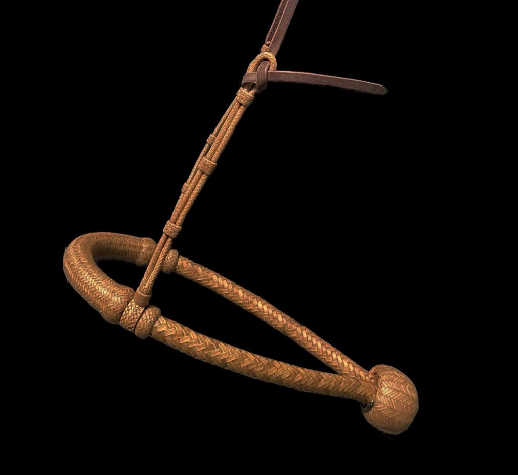 Hackamore