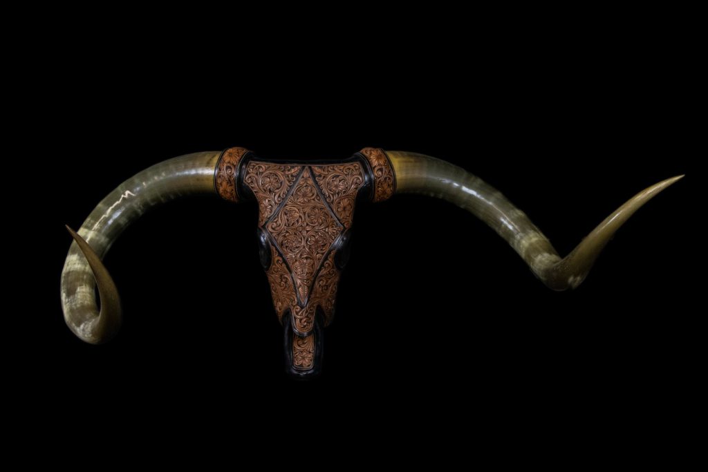 Texas Longhorn Steer