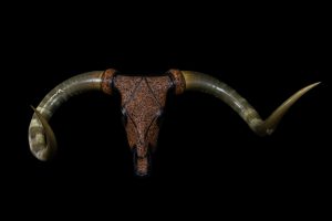Texas Longhorn Steer